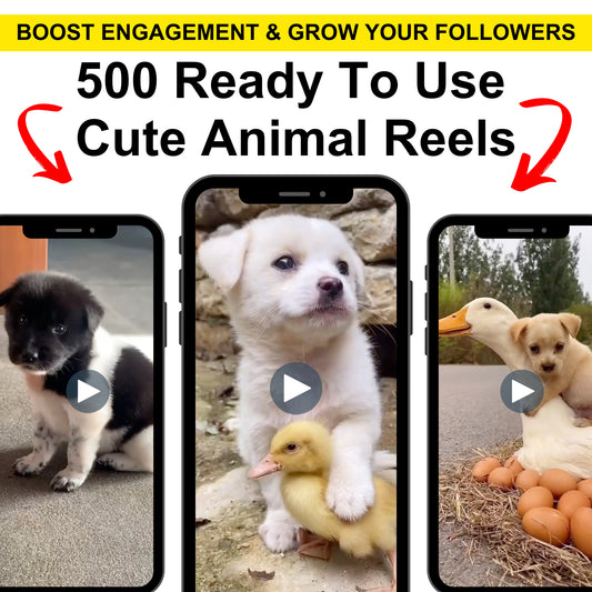 500+ Funny Animal Reels